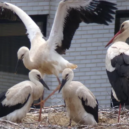 Tranquilidad Junto Al Centro Histórico * Burgo
