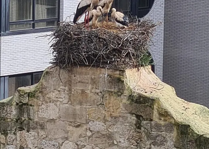 Tranquilidad Junto Al Centro Historico Lägenhet