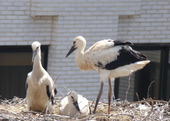 Tranquilidad Junto Al Centro Historico Lägenhet *
