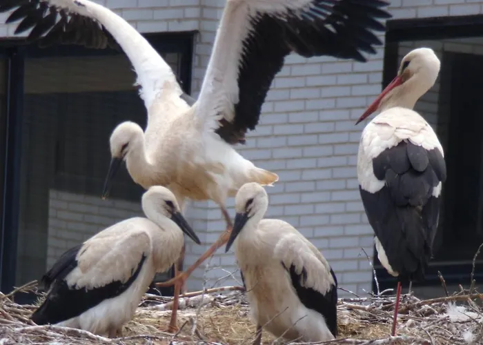 Tranquilidad Junto Al Centro Historico * Burgo